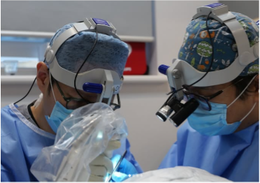 The Hair Restoration Surgery Mentorship Programme